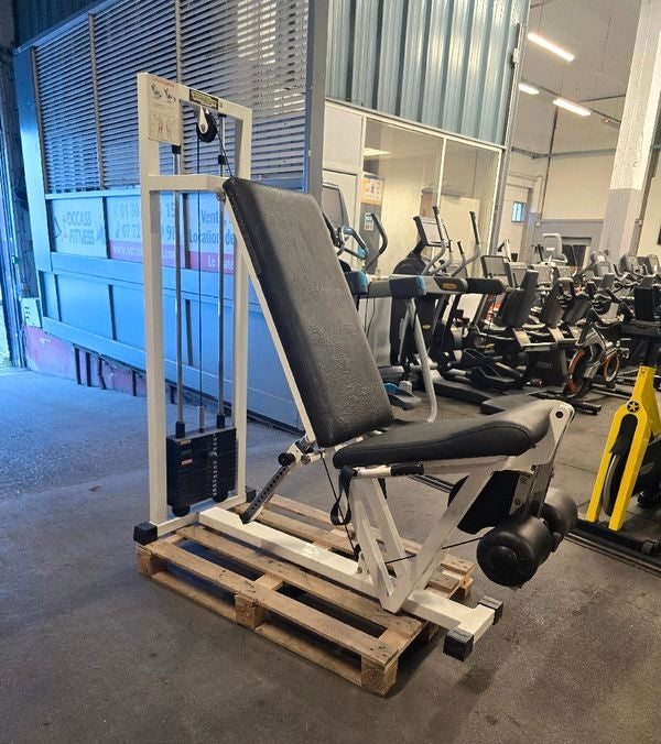 TECHNOGYM LEG EXTANSION LINEA LUX