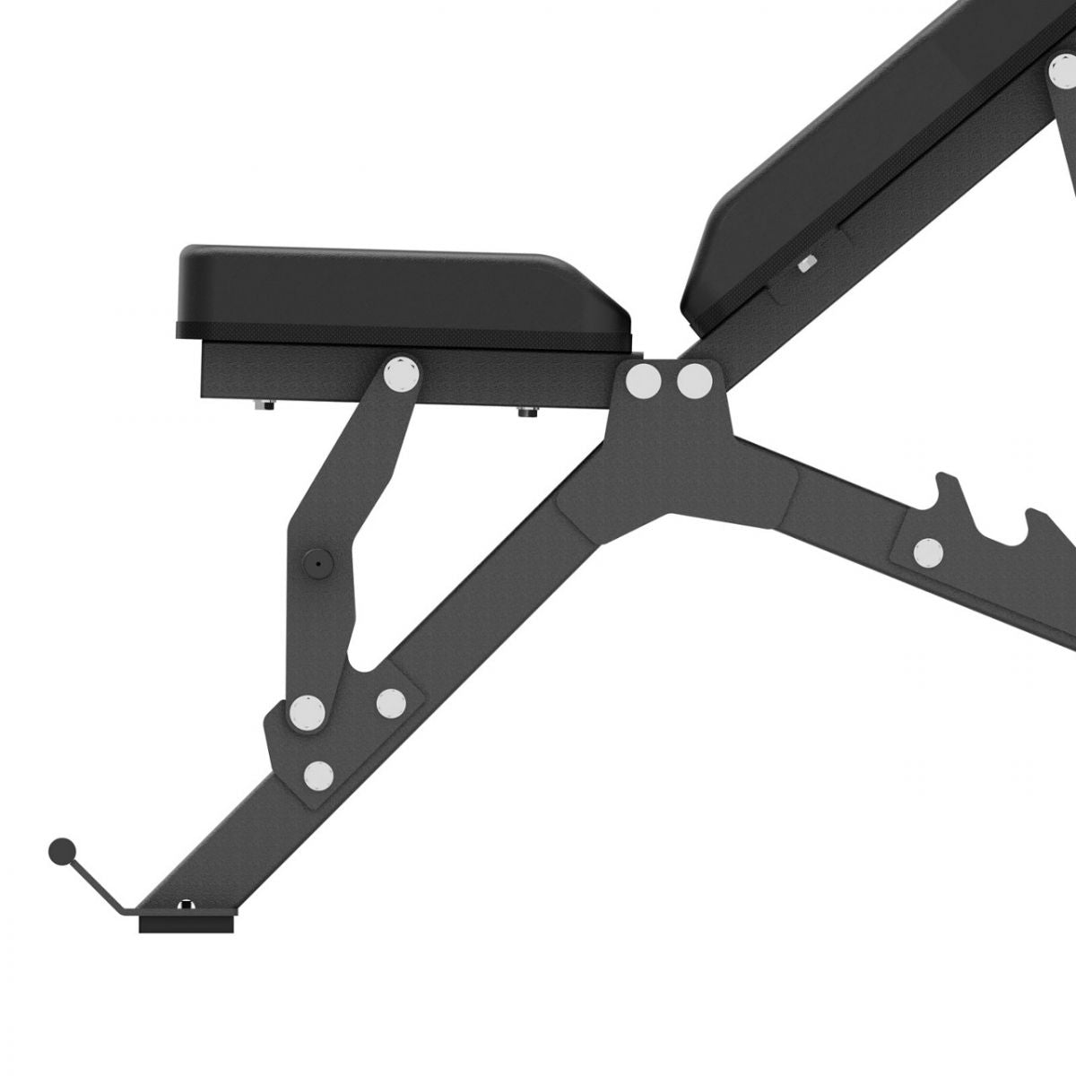 Toorx Wbx-400 Panca Piana ed Inclinabile Multiuso